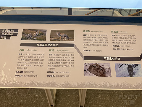 只为“得到你”💓之曹家堡安检后全体验🥳🥳