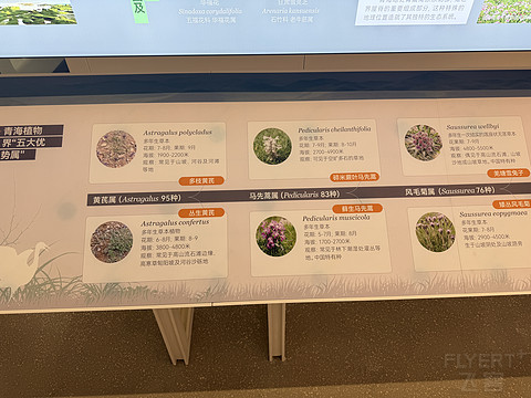 只为“得到你”💓之曹家堡安检后全体验🥳🥳
