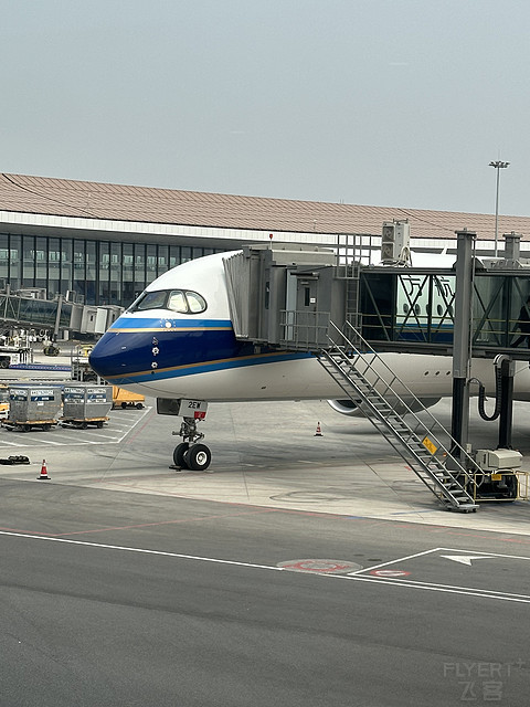 首乘南航长途航线｜伦敦希思罗-北京大兴-香港｜A359经济舱往返体验