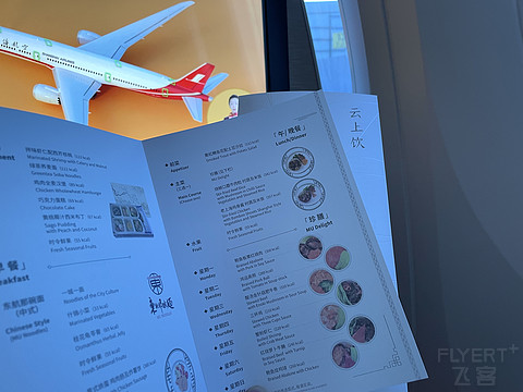 旗舰新机第一天 | 上海航空 | B787-9公务舱 | PVG-CKG | B-220G 飞行报告