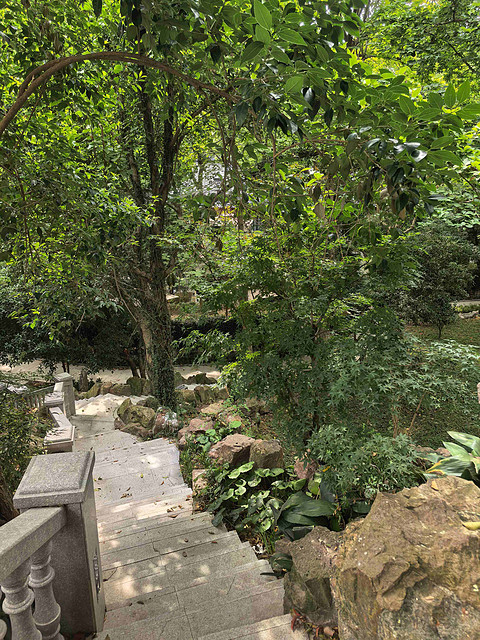 香格里拉对高奢品牌的全新探索——记录我在水知心居几乎完美的居停时光