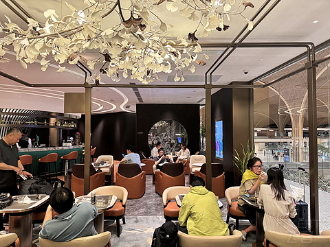 金边新机场全新起航首日体验—国航德崇机场首班CA746金边德崇-北京首都