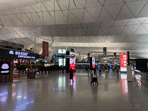 多年不见的沈阳尊鹏阁-国航飞浦东的平淡之旅[by上海小医生]