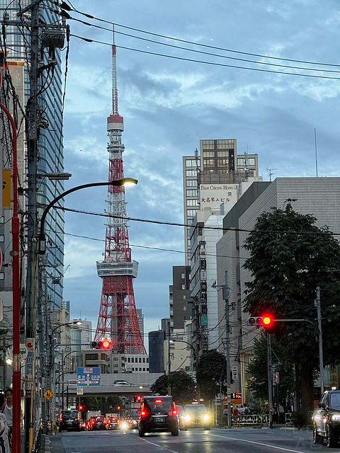 六本木の日与夜，狮王虽老，气质尚在------东京丽思卡尔顿酒店