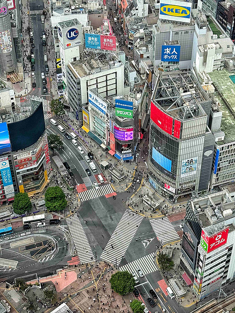 六本木の日与夜，狮王虽老，气质尚在------东京丽思卡尔顿酒店