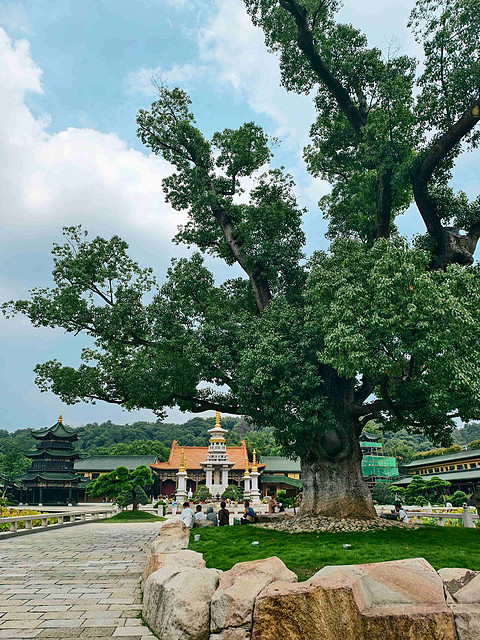 日光漫游记｜九江喜来登行政江景套房体验