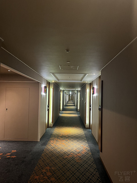 【Hilton Osaka】交通乃王者无敌，邂逅匠心之雅居