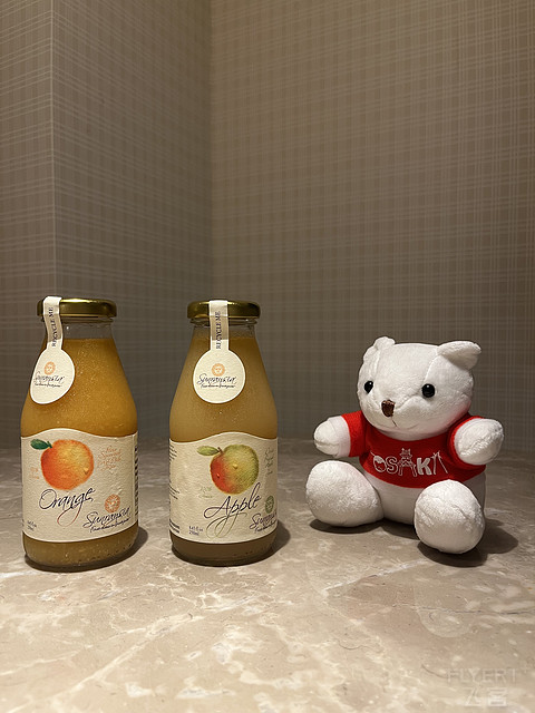 【Hilton Osaka】交通乃王者无敌，邂逅匠心之雅居