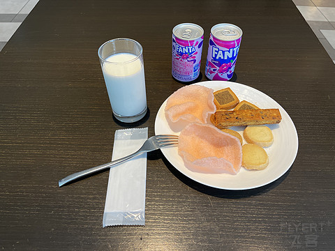 【Hilton Osaka】交通乃王者无敌，邂逅匠心之雅居