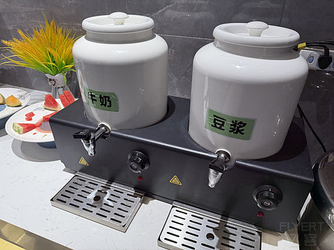 打卡中国面积最大的市辖区-新疆哈密市伊州区-哈密艾扉酒店新民五路美食街店