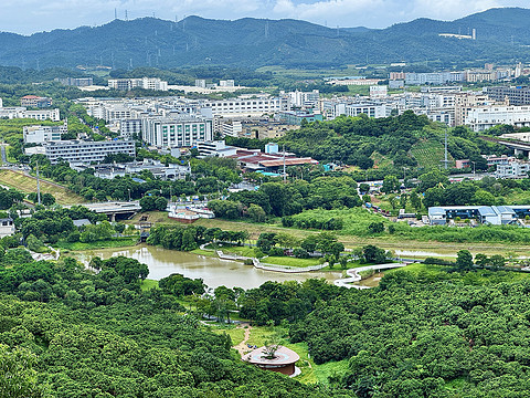 【雅高华住的冰与火】打卡163：深圳光明美爵酒店高级套房