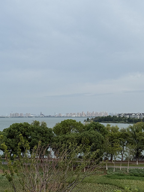 初遇阳澄湖 | 体验苏州阳澄湖泰康万豪酒店