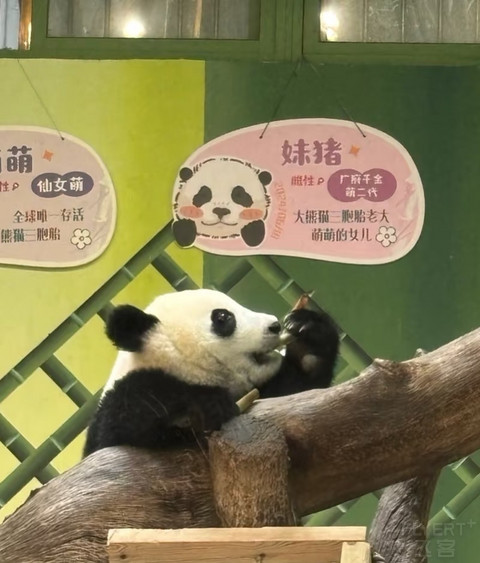工商银行奋斗专属白金卡申请与使用体验总结