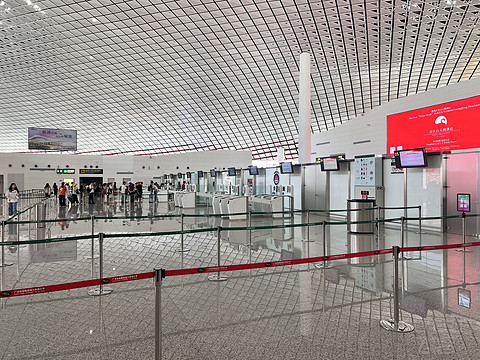 唯有牡丹真国色｜CA4360:湛江吴川-重庆江北，盛开在空中的黄牡丹