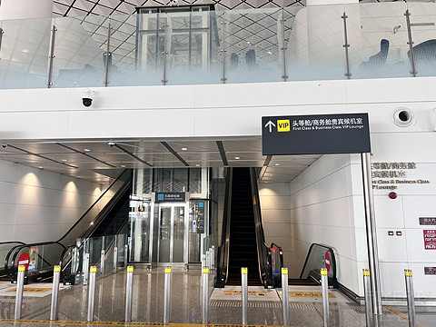 唯有牡丹真国色｜CA4360:湛江吴川-重庆江北，盛开在空中的黄牡丹