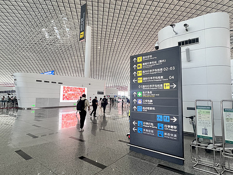 唯有牡丹真国色｜CA4360:湛江吴川-重庆江北，盛开在空中的黄牡丹
