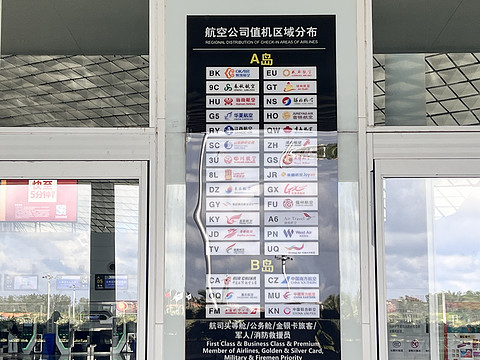 唯有牡丹真国色｜CA4360:湛江吴川-重庆江北，盛开在空中的黄牡丹