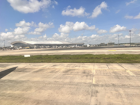 唯有牡丹真国色｜CA4360:湛江吴川-重庆江北，盛开在空中的黄牡丹