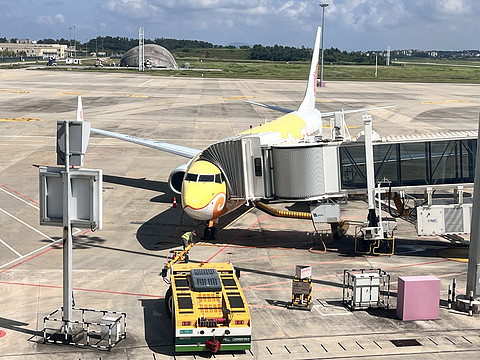 唯有牡丹真国色｜CA4360:湛江吴川-重庆江北，盛开在空中的黄牡丹