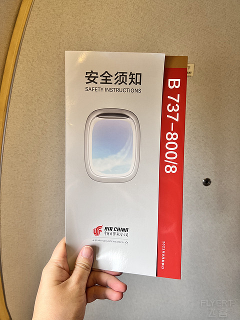 唯有牡丹真国色｜CA4360:湛江吴川-重庆江北，盛开在空中的黄牡丹