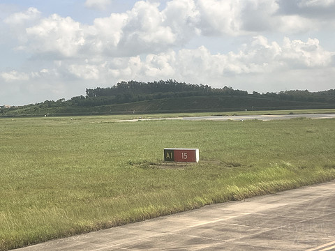 唯有牡丹真国色｜CA4360:湛江吴川-重庆江北，盛开在空中的黄牡丹