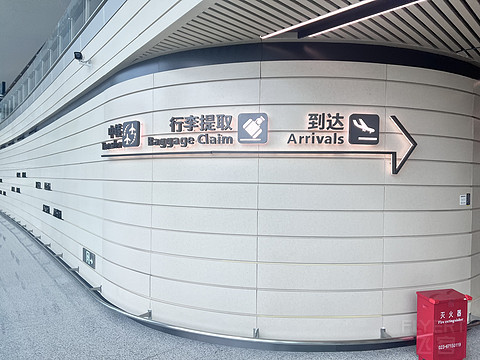 唯有牡丹真国色｜CA4360:湛江吴川-重庆江北，盛开在空中的黄牡丹