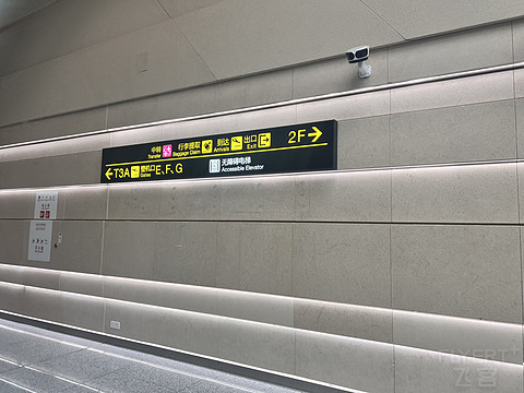 唯有牡丹真国色｜CA4360:湛江吴川-重庆江北，盛开在空中的黄牡丹