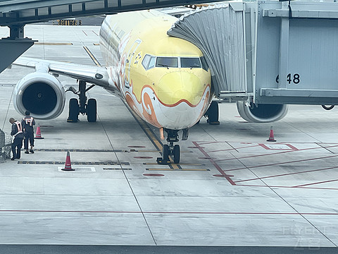 唯有牡丹真国色｜CA4360:湛江吴川-重庆江北，盛开在空中的黄牡丹