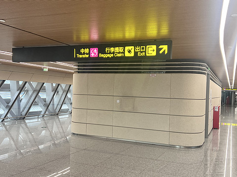 唯有牡丹真国色｜CA4360:湛江吴川-重庆江北，盛开在空中的黄牡丹