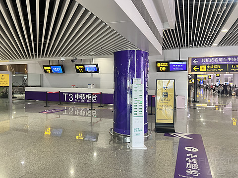 唯有牡丹真国色｜CA4360:湛江吴川-重庆江北，盛开在空中的黄牡丹