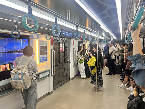 唯有牡丹真国色｜CA4360:湛江吴川-重庆江北，盛开在空中的黄牡丹