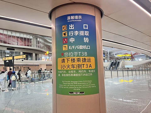 唯有牡丹真国色｜CA4360:湛江吴川-重庆江北，盛开在空中的黄牡丹