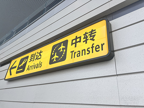 唯有牡丹真国色｜CA4360:湛江吴川-重庆江北，盛开在空中的黄牡丹