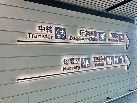 唯有牡丹真国色｜CA4360:湛江吴川-重庆江北，盛开在空中的黄牡丹