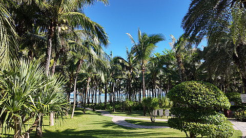 潮起皇冠畔，栖心假日间｜三亚海棠湾仁恒皇冠假日酒店全海景套