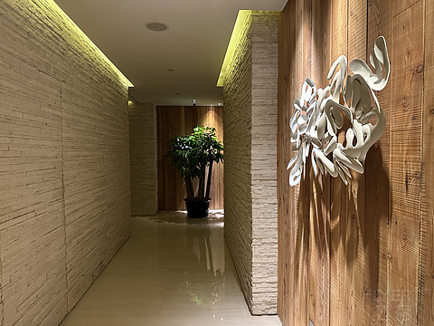 盛京之夏 厚道大方 | 沈阳君悦 君悦套房