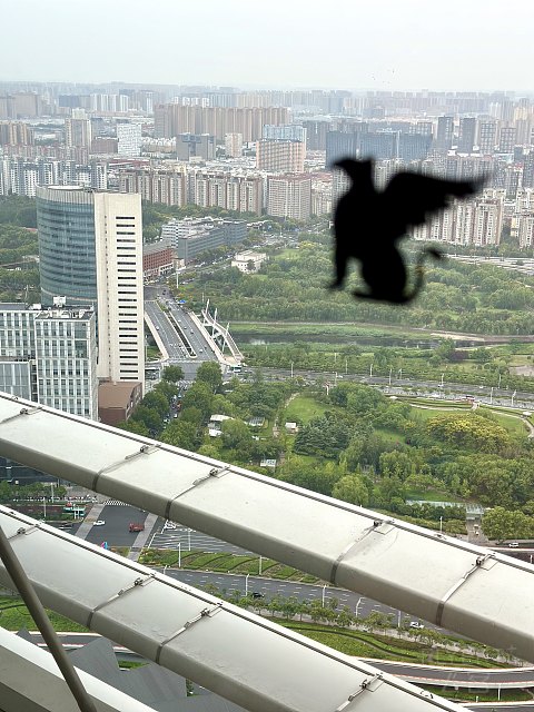 住在大玉米楼上啦·郑州绿地JW万豪酒店｜连住两晚行政套房体验