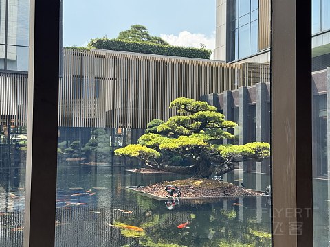 摩天轮下的姑苏一隅，悦见江南的雅韵｜Park Hyatt Suzhou