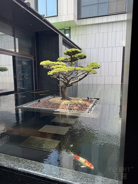 摩天轮下的姑苏一隅，悦见江南的雅韵｜Park Hyatt Suzhou