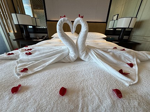 摩天轮下的姑苏一隅，悦见江南的雅韵｜Park Hyatt Suzhou
