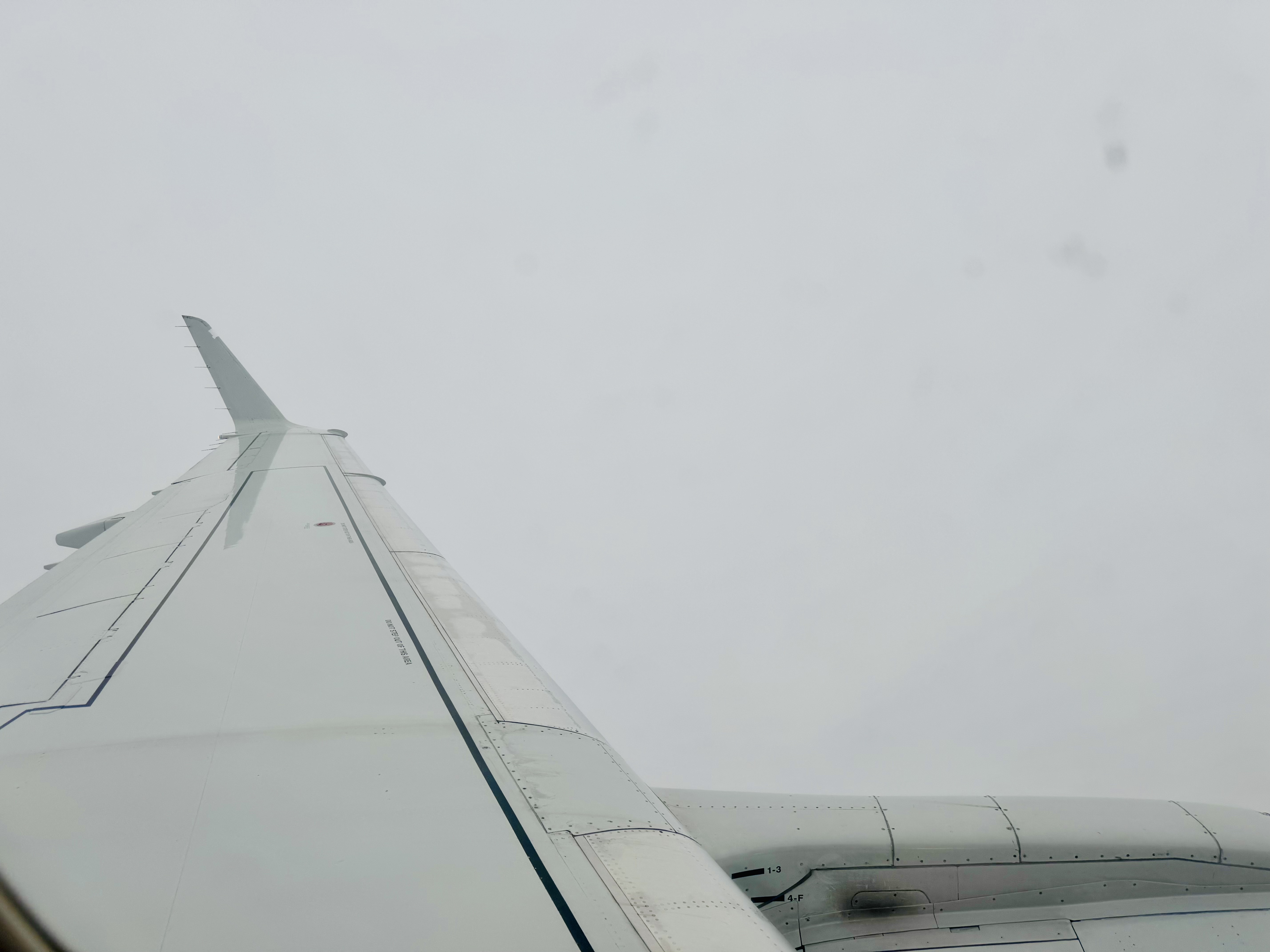 Ŧ | AA3901 DTW-ORD յ-֥Ӹм
