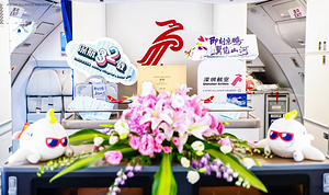 ʮأ ں32⺽ZH9107鱨
