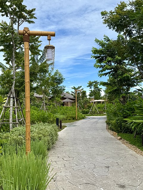 【Namia River Retreat会安纳米亚河静居】首发｜希尔顿积分最超值的一次完美体验