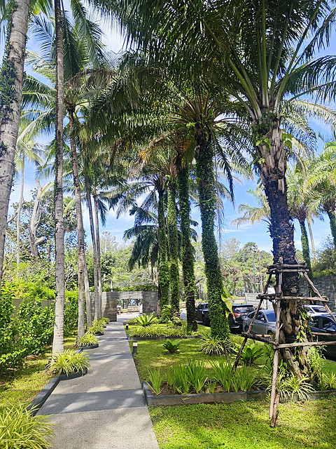 普吉岛苏林假日度假酒店Report｜Holidayinn Resort Surin Beach