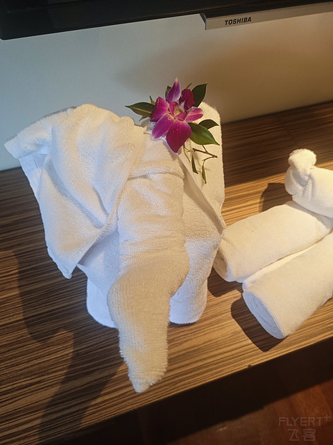 普吉岛苏林假日度假酒店Report｜Holidayinn Resort Surin Beach