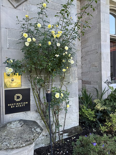 UK｜凯悦罗克斯堡酒店 Schloss Roxburghe Kelso