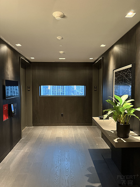 纽约NoMad丽思卡尔顿｜麦迪逊套房报告 The Ritz-Carlton New York NoMad