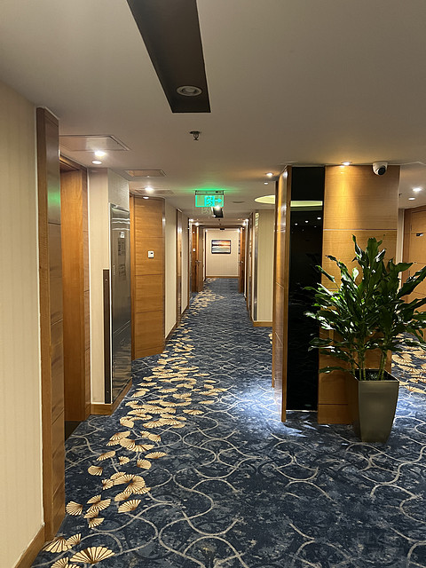 “枢纽驿站，便捷之选”北京望京华彩智选假日酒店入住报告