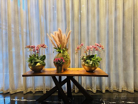 [FN 套房券开启湖滨套] - 芝加哥丽思卡尔顿生日入住体验