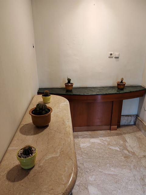 雅加达西部商业综合体Ciputra酒店